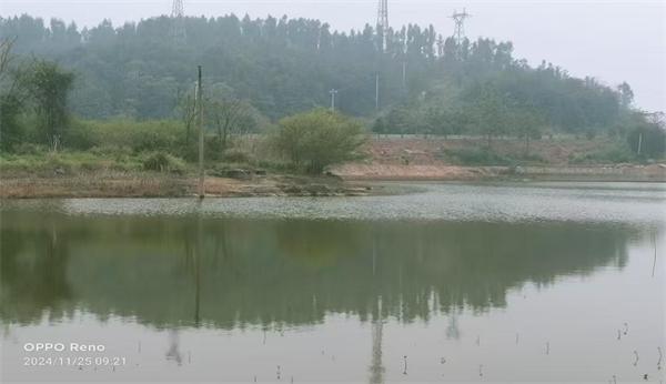 不锈钢链条 第419页