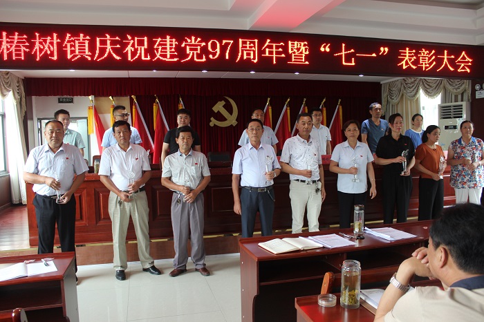 六安市椿树镇蜕变展现新风貌，小镇之光，自信与成就感的源泉