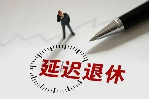 廷迟退休年龄最新动态，老友记中的热议与最新消息解读