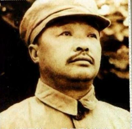 河北大城县最新消息全解析，获取指南与初学者进阶教程