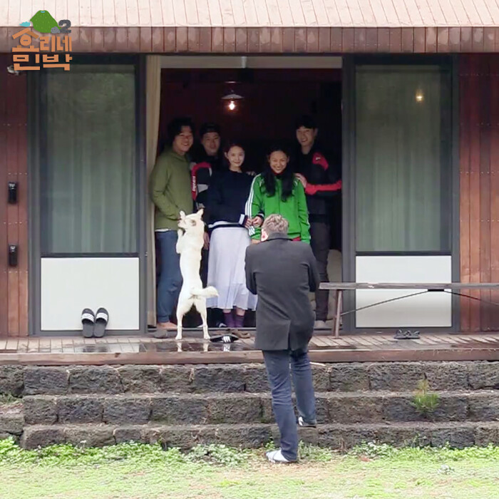 孝利家民宿最新一期揭秘,小巷中的隐秘瑰宝