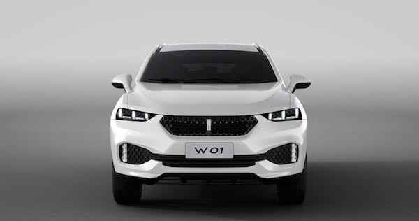 哈弗w01最新消息,哈弗W01最新消息，一场自然美景的探索之旅，心灵的洗涤与重生