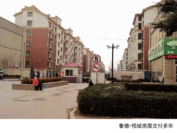 胶州鲁德悦城全面指南，最新消息与探索步骤（适合初学者与进阶用户）