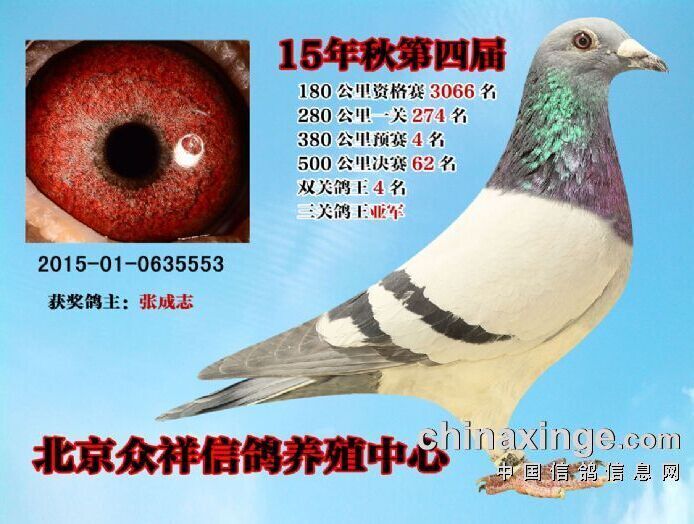 陇西众翔公棚最新动态，变化中的学习与自信成就之源