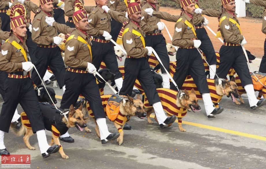 陆军军改最新动态更新，最新陆军改革消息速递
