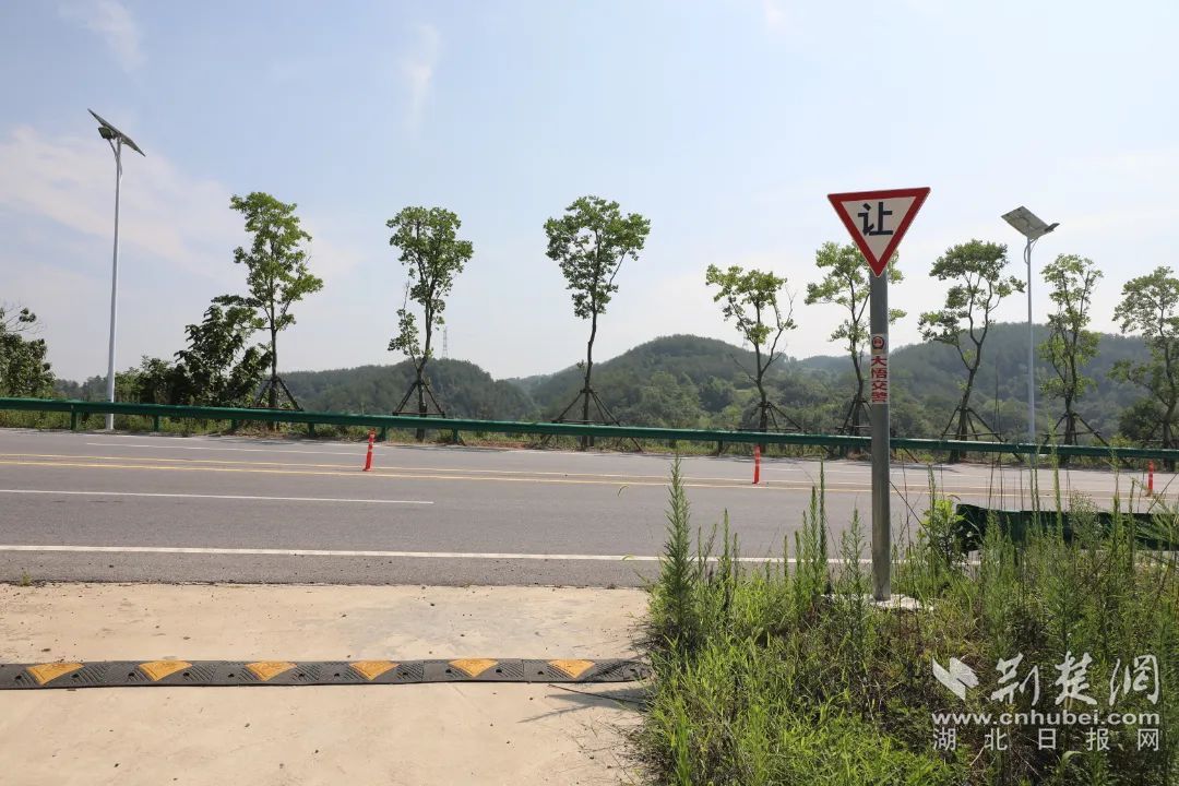 大悟G346国道最新消息，建设进展、规划与影响分析全解析