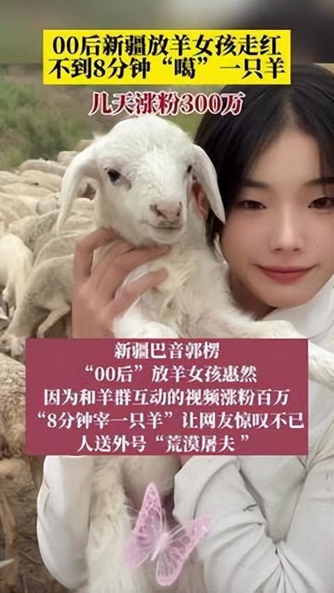女如狼我如羊，学习之光引领成长之路