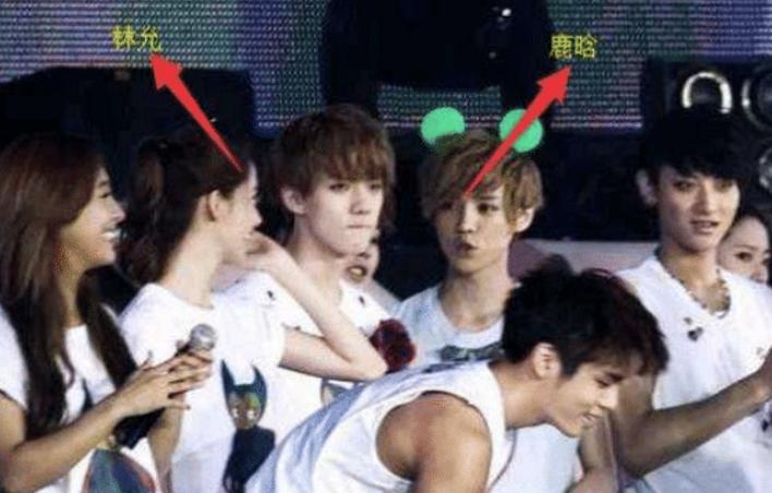 张艺兴理想型的最新探析,公众多元解读与个人立场的探析