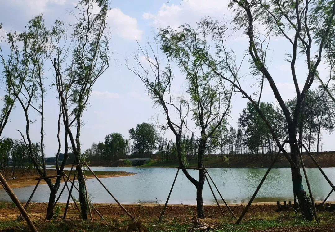 阜阳颍州西湖最新进展揭秘,湖畔趣事与深厚友情的交织发展之路