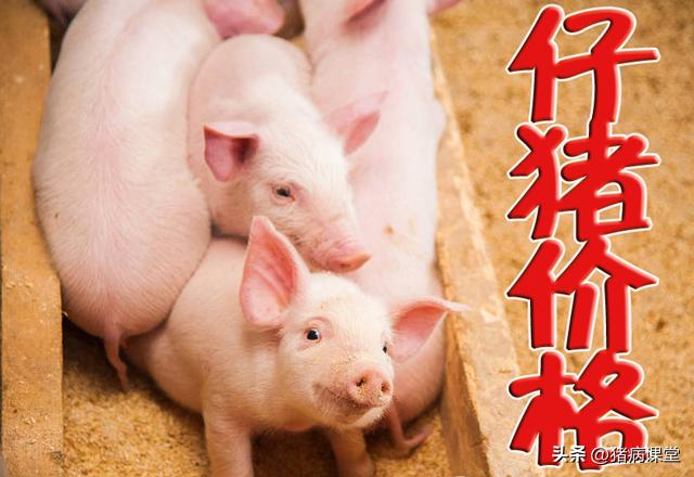 今日铁的价格最新行情,今日铁的价格最新行情