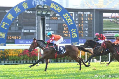 马会传真资料2024澳门,数据驱动决策_IRI9.632跨平台版