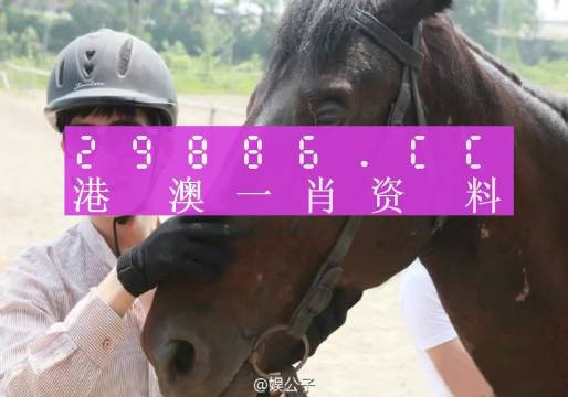 澳门今晚必中一肖一码,高效性设计规划_MYB58.547美学版