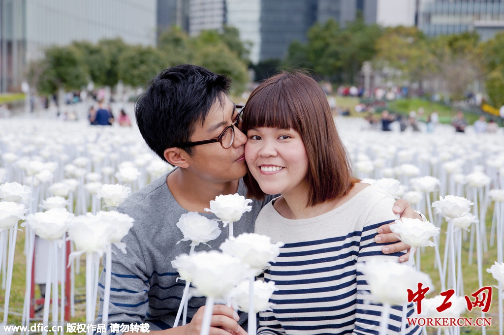 王中王香港资料图库,高效运行支持_VGN9.582超高清版