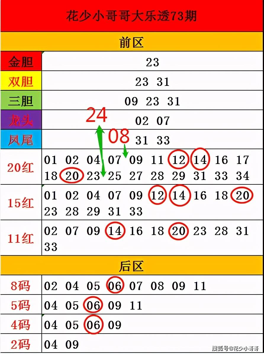 澳门三期内必出一期,定性解析明确评估_WVS9.178界面版