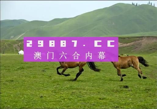 2024澳门精准正版生肖图,实地验证策略具体_VCE58.208L版