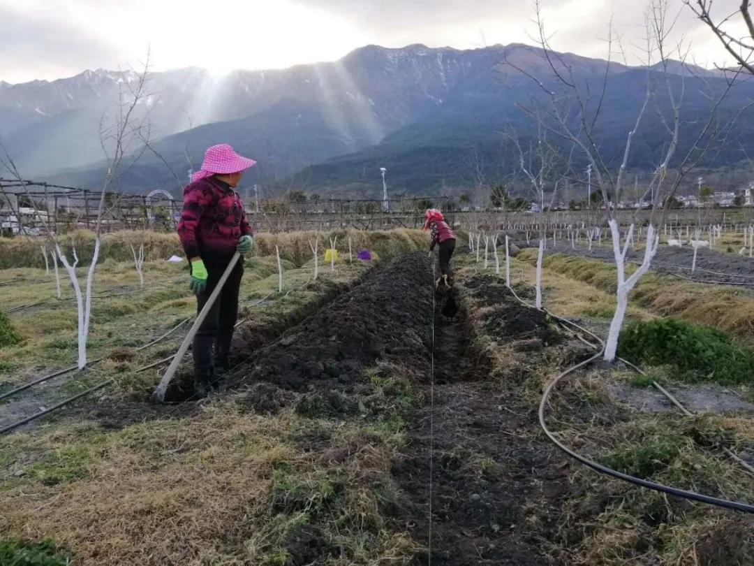 苍山最新房屋出售信息，时代脉搏与地域魅力的交汇点
