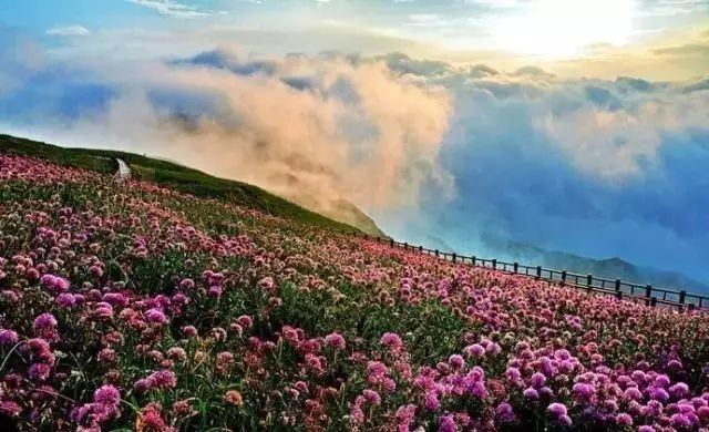 2024贵州宁黄公路最新消息,全身心数据指导枕_GPK58.365游戏版