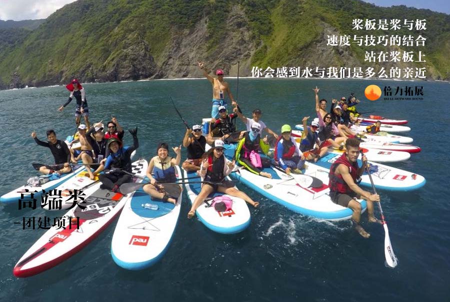 国际浆板最新价格查询,友情之旅启程