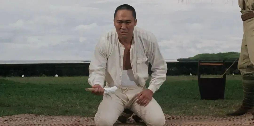 坂本大和最新公众号,坂本大和最新公众号揭秘，小巷深处的独特风味