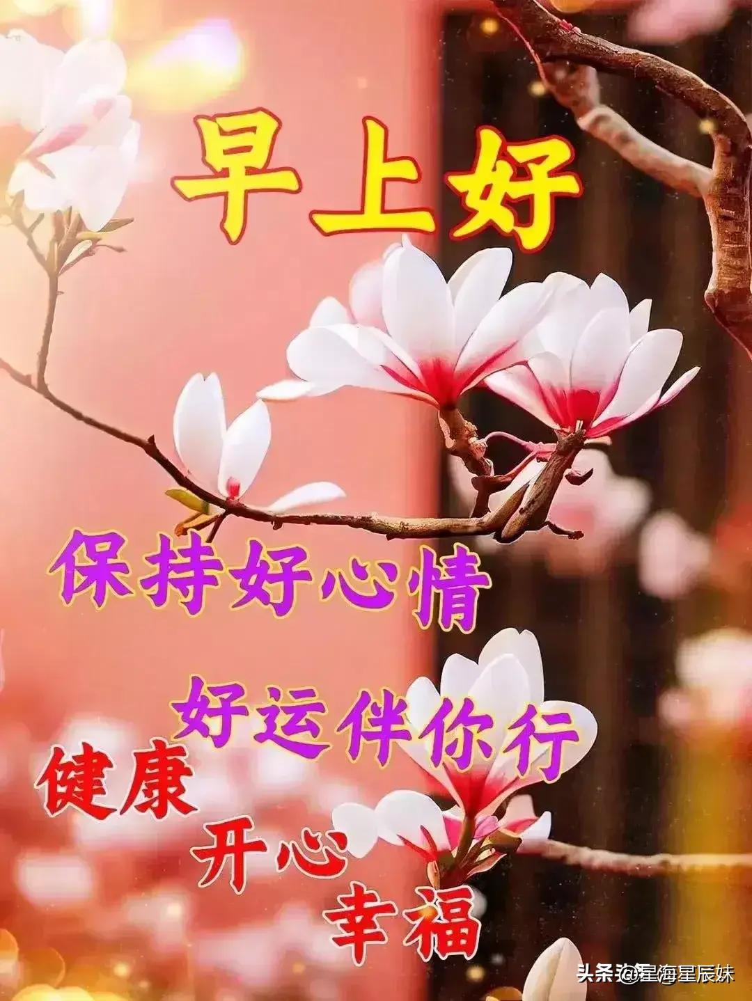 2024天天彩资料大全免费600,实地验证研究方案_紧凑版65.802