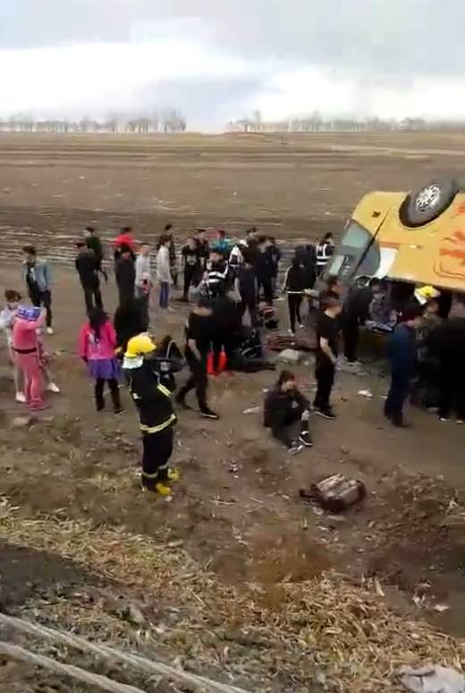 烘干机网带 第382页