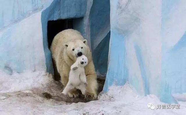 烘干机网带 第381页