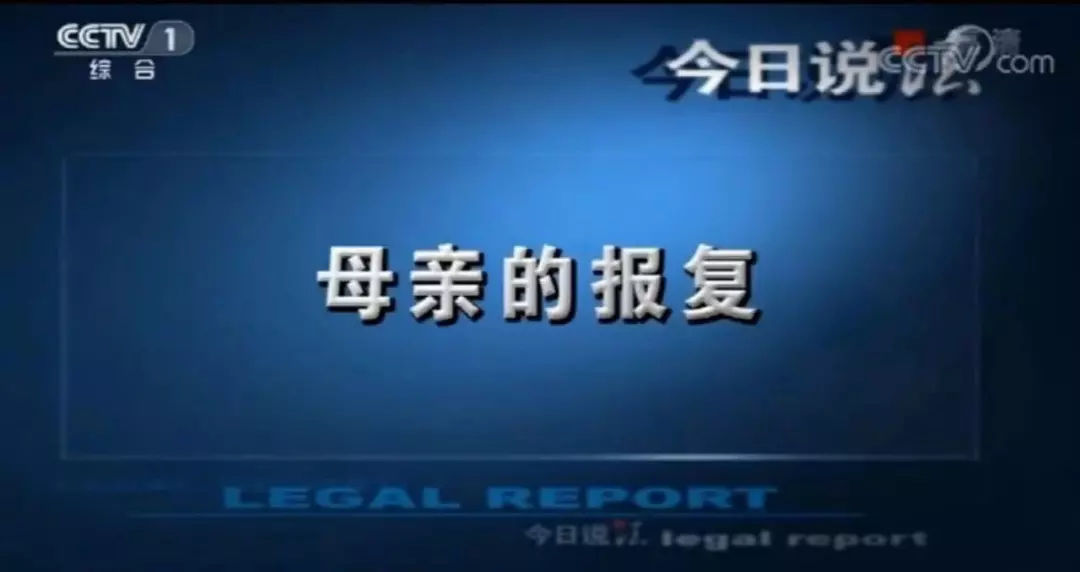 2024新奥资料免费大全,创新解释说法_闪电版41.334