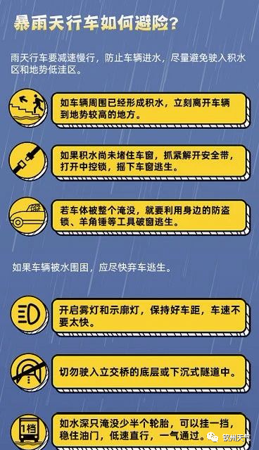 2024新奥正版资料最精准免费大全,持续性实施方案_瞬间版81.434