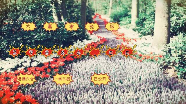 最准一肖一码100%,目前现象解析描述_携带版72.866