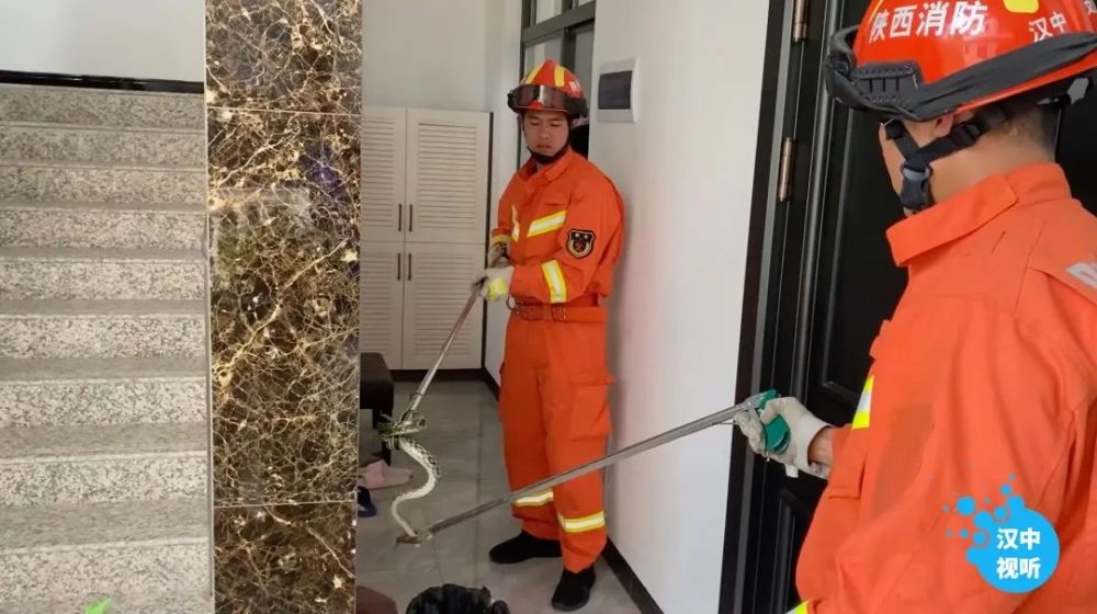 不锈钢链板 第375页