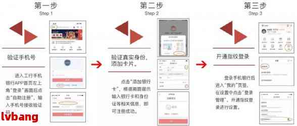 新澳门六开奖历史记录,快速解决方式指南_寻找版82.176