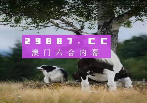 澳门跑狗图2024年今晚,高效性设计规划_云技术版34.629