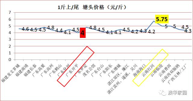 广东罗非鱼塘口最新价格探析，一种观点的视角