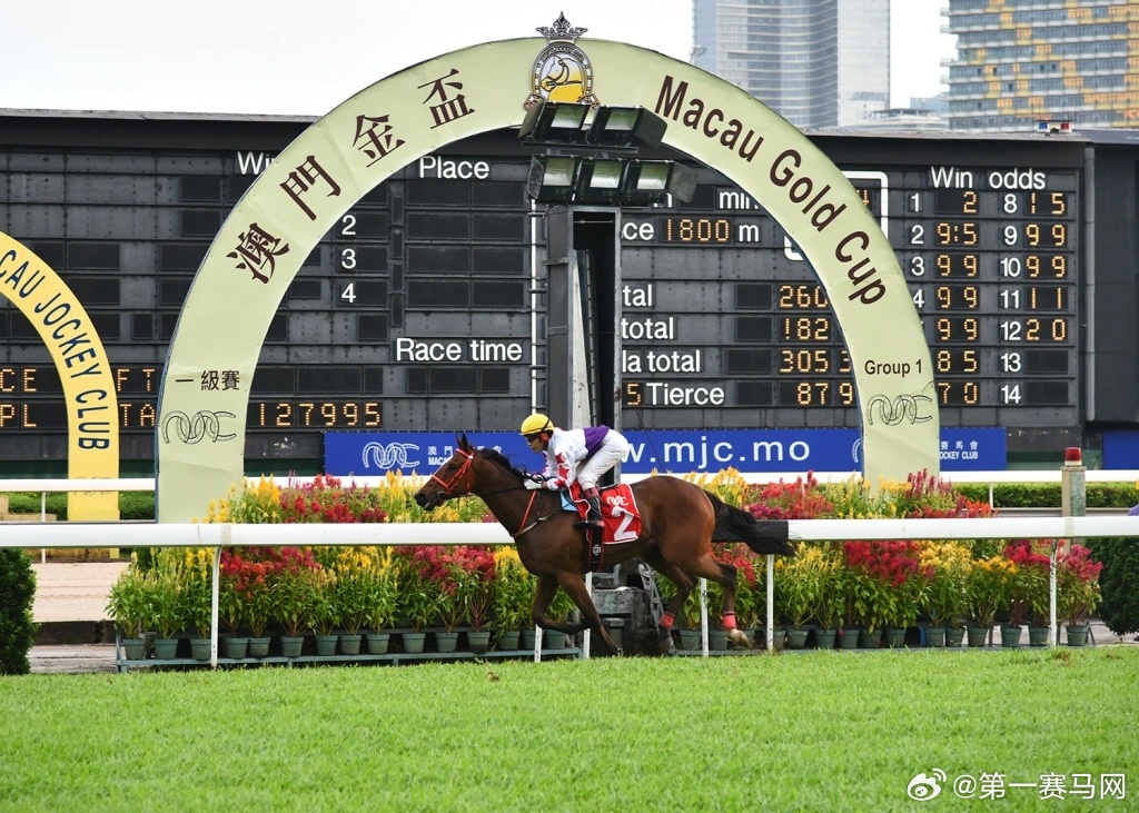 澳门今晚开特马+开奖结果优惠,高度协调实施_文化传承版76.733