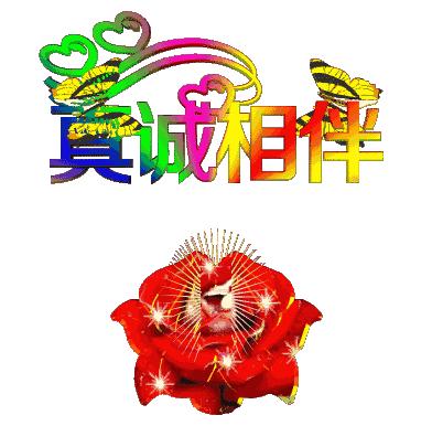 最新早晨动态图片大全,最新早晨动态图片大全——获取与分享的步骤指南