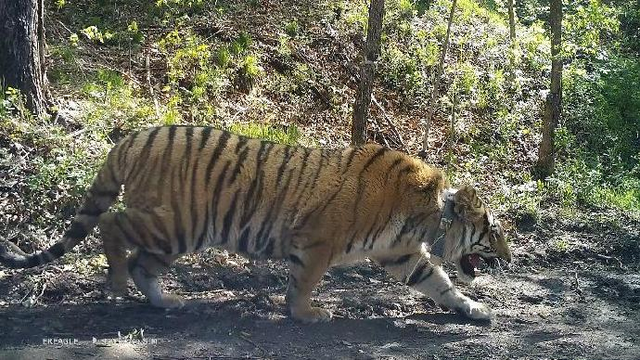 香港和澳门开奖号码,科学分析解释说明_未来科技版85.817