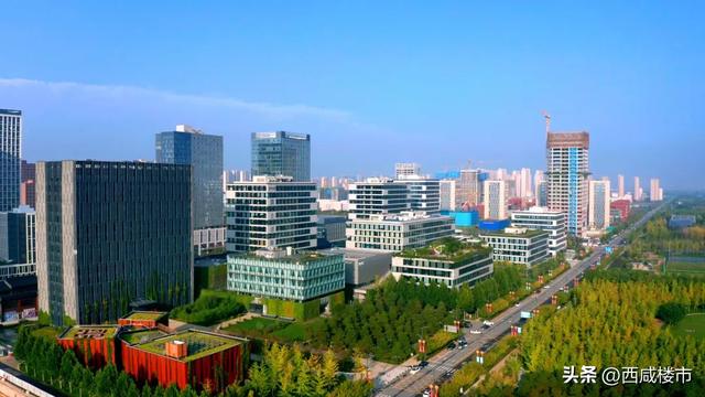 沣西新城大王最新消息速递