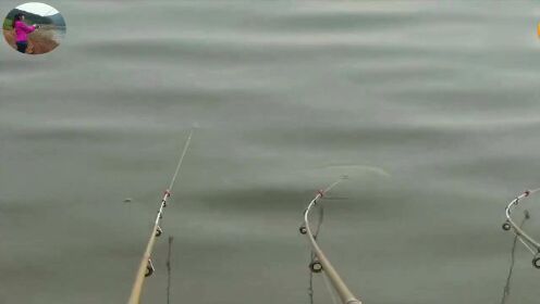 最新筏竿钓鲫鱼视频，自然美景的探索之旅启动！