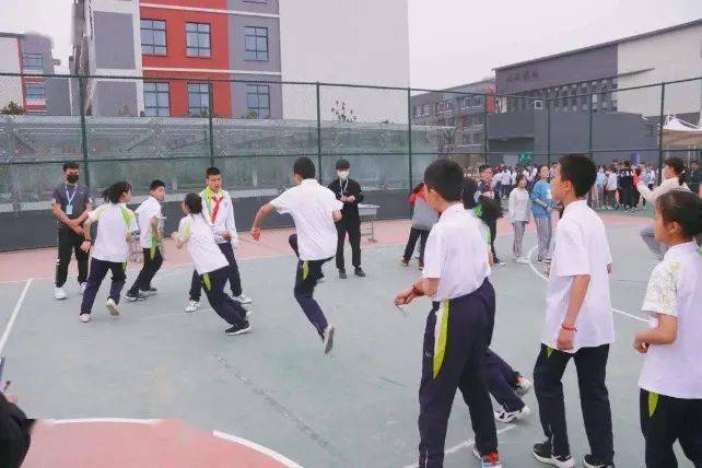 今晚澳门开什么特马,精准分析实践_任务版2.586
