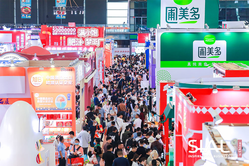 上海2024最新网红食品，小巷美食秘境大揭秘！