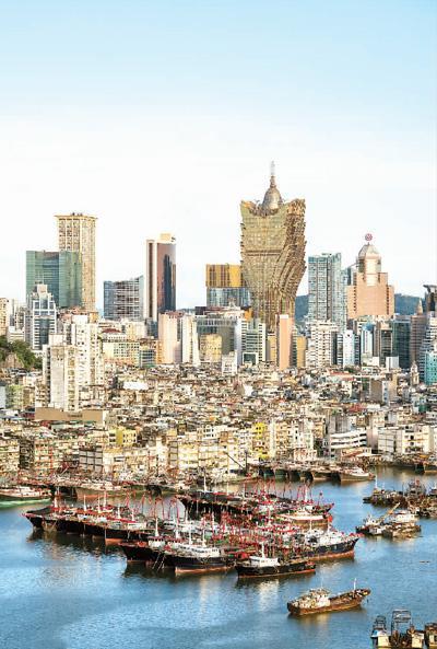 新奥门资料全年免费精准,科学依据解析_快速版85.190