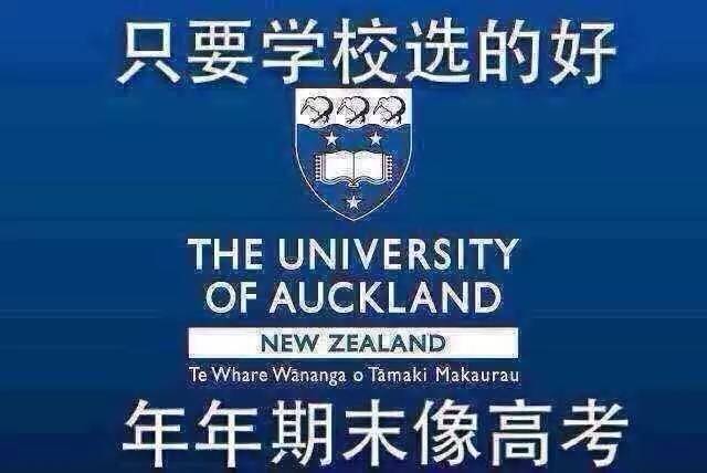 澳门4949开奖现场直播+开,多元化诊断解决_掌中宝52.914