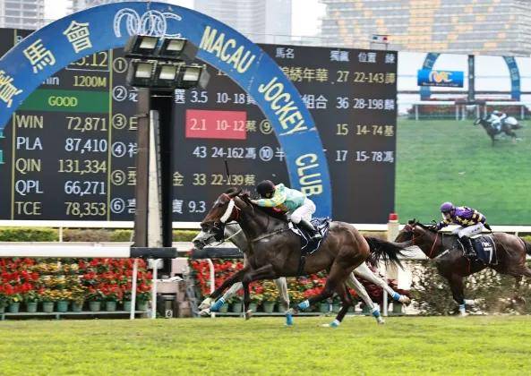 马会传真资料澳门,具象化表达解说_铂金版7.675