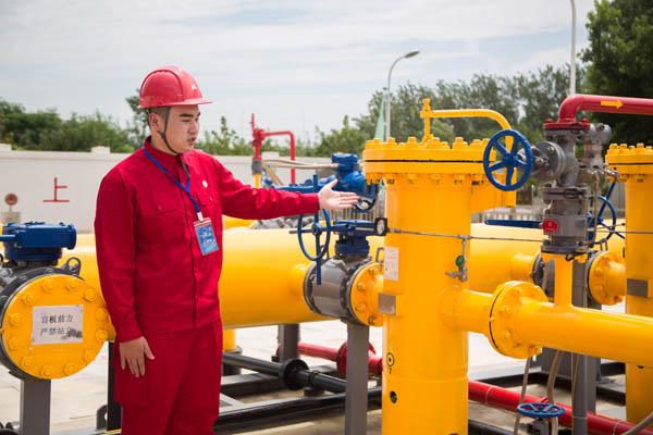 香港最准的免费资料公开,科学解释分析_云端版87.418