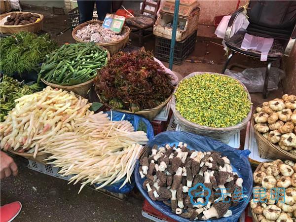 食菜网最新事件，一袋蔬菜种子的奇妙旅程探索