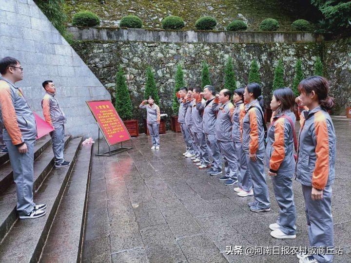 永城教育局最新通知，完成教育任务与学习技能的详细步骤指南