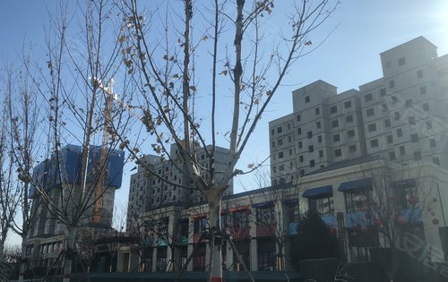 永清孔雀城最新房价探索与小巷惊喜之旅