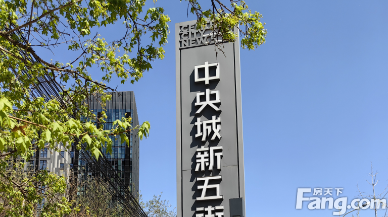 万科中央城最新动态揭秘，家的温馨日常与友情的绽放时光