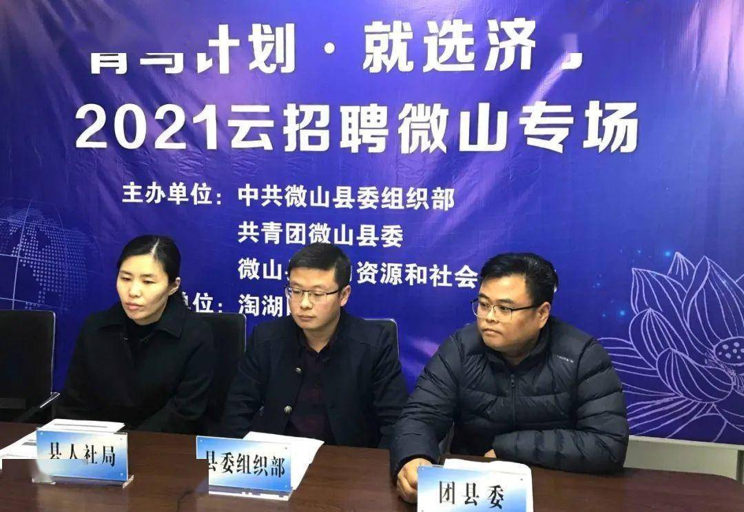 盘山新县城最新招聘，多元视角下的招聘市场分析与解读