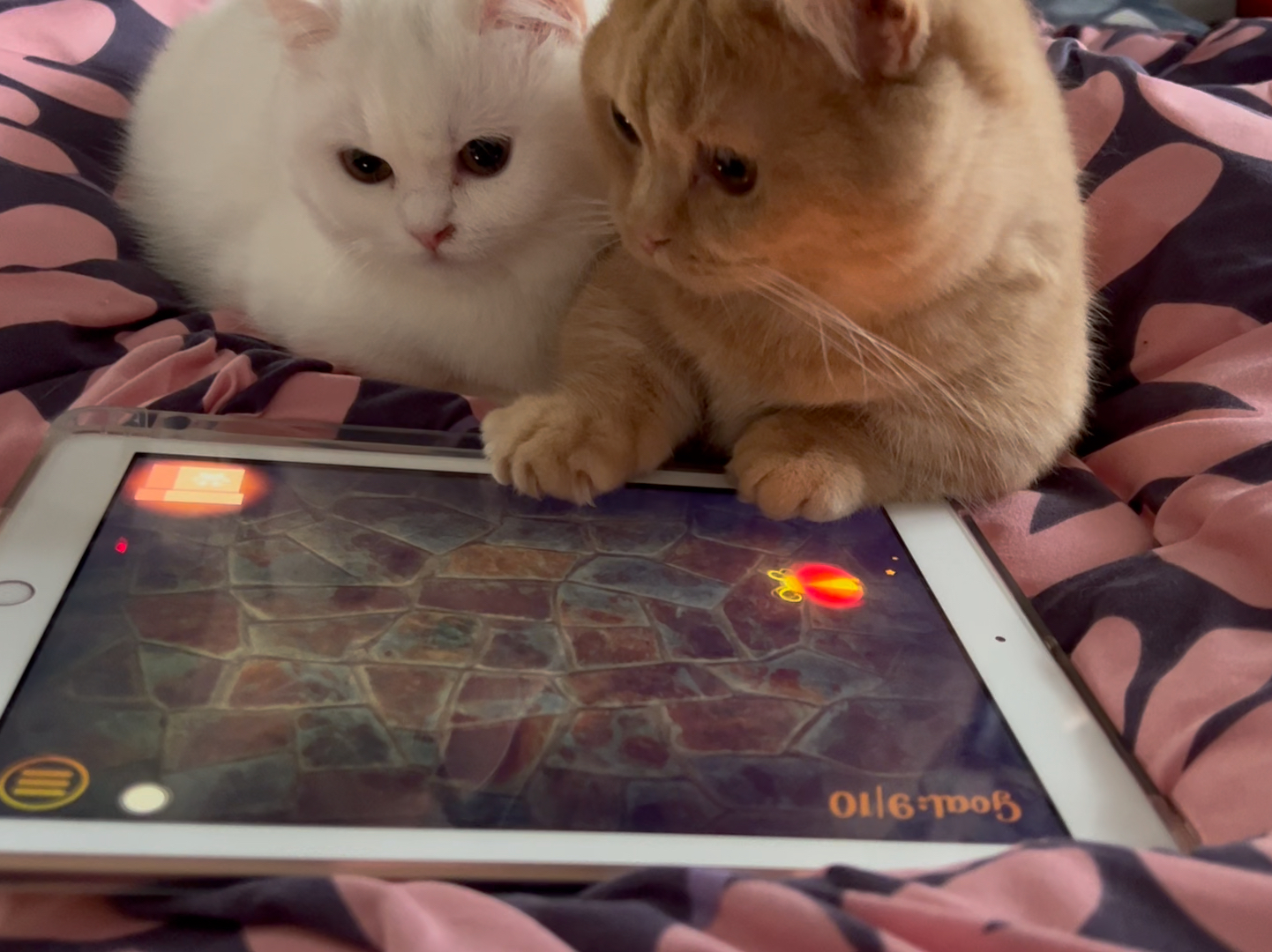 不锈钢链条 第328页